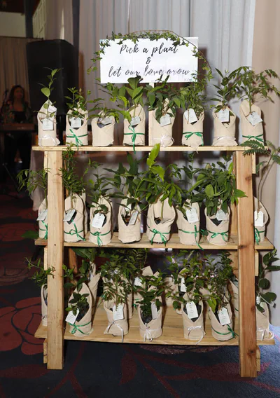 Gifting small plants is a popular choice